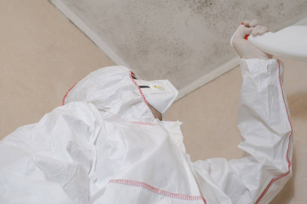  Monterey Park, CA Mold Removal Pros